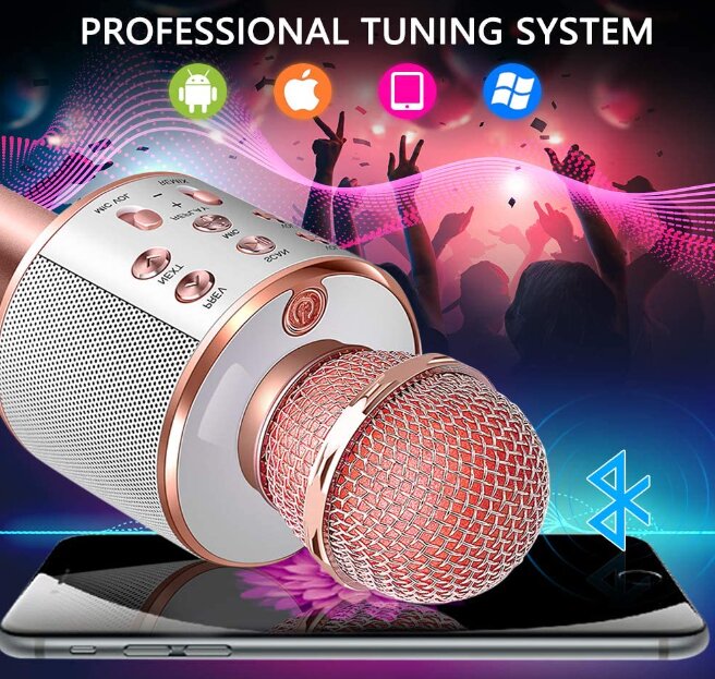 WS-858 belaidis karaoke mikrofonas- Bluetooth rankinis garsiakalbis, rožinis auksas цена и информация | Mikrofonai | pigu.lt