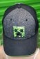 Kepuraitė su snapeliu Minecraft Creeper kaina ir informacija | Kepurės, pirštinės, šalikai berniukams | pigu.lt