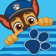 Хлопковое полотенце Paw Patrol 30 x 30 см цена и информация | Полотенца | pigu.lt