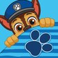 Medvilninis rankšluostis Paw Patrol  30 x 30 cm kaina ir informacija | Rankšluosčiai | pigu.lt