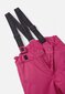 Slidinėjimo kelnės vaikams Lassie Taila R 7100006A*3550, rožinės цена и информация | Žiemos drabužiai vaikams | pigu.lt