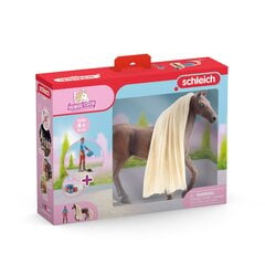 Schleich - Horse Club Beauty Leo And Rocky Starter Set цена и информация | Игрушки для девочек | pigu.lt