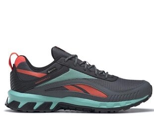 RIDGERIDER 6 GTX REEBOK  for Men's Grey GX2245 GX2245 цена и информация | Кроссовки для мужчин | pigu.lt