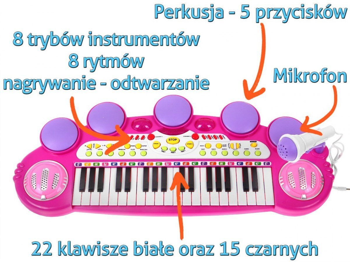 Vaikiškas pianinas su kėdute ir mikrofon kaina ir informacija | Lavinamieji žaislai | pigu.lt