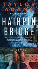 Hairpin Bridge kaina ir informacija | Fantastinės, mistinės knygos | pigu.lt