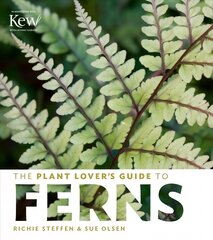 Plant Lover's Guide to Ferns цена и информация | Книги о садоводстве | pigu.lt