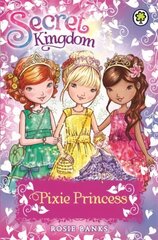Secret Kingdom: Pixie Princess: Special 4 kaina ir informacija | Knygos paaugliams ir jaunimui | pigu.lt