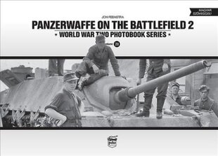 Panzerwaffe on the Battlefield 2 (Vol.21) цена и информация | Книги по социальным наукам | pigu.lt