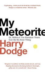 My Meteorite: Or, Without The Random There Can Be No New Thing kaina ir informacija | Biografijos, autobiografijos, memuarai | pigu.lt