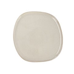 Плоская тарелка Bidasoa Ikonic (26,5 x 25,7 x 1,5 см)  цена и информация | Посуда, тарелки, обеденные сервизы | pigu.lt