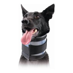 Широкий ошейник для собак KVP Чёрный (20-64 cm) цена и информация | Ошейники, подтяжки для собак | pigu.lt