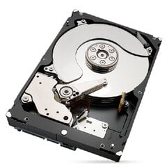 Seagate ST6000NT001 3,5" 6 TB kaina ir informacija | Vidiniai kietieji diskai (HDD, SSD, Hybrid) | pigu.lt