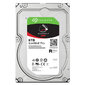 Seagate ST6000NT001 3,5" 6 TB kaina ir informacija | Vidiniai kietieji diskai (HDD, SSD, Hybrid) | pigu.lt