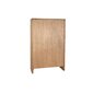Spintelė DKD Home Decor, Perdirbta mediena, (100 x 45 x 160 cm) kaina ir informacija | Svetainės spintelės | pigu.lt