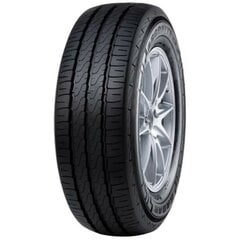 RADAR Argonite RV-4 225/55R17 109/107H C цена и информация | Летняя резина | pigu.lt