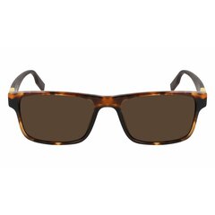 Мужские солнечные очки Converse CV520S-RISE-UP-242, ø 55 мм цена и информация | Легкие и мощные прозрачные защитные очки для велосипедов | pigu.lt