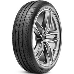 RADAR Dimax Eco 195/55R20 95H XL цена и информация | Летняя резина | pigu.lt