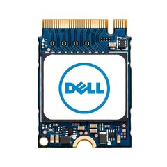 Dell AB292880 kaina ir informacija | Vidiniai kietieji diskai (HDD, SSD, Hybrid) | pigu.lt