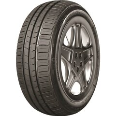 Tracmax X Privilo TX2 195/65 R15 91V цена и информация | Летняя резина | pigu.lt