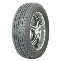 Dunlop ST20 GRANDTREK 215/60HR17 цена и информация | Летняя резина | pigu.lt