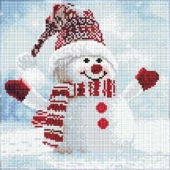 Deimantinė mozaika Snowman, 30,50x30,50 cm kaina ir informacija | Deimantinės mozaikos | pigu.lt