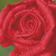 Deimantinė mozaika Rose Dew, 30,50x30,50 cm kaina ir informacija | Deimantinės mozaikos | pigu.lt