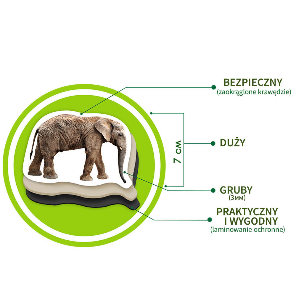 Edukacinis magnetukų rinkinys Magdum Zoo, 19 vnt. kaina ir informacija | Lavinamieji žaislai | pigu.lt