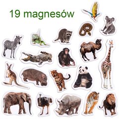 Edukacinis magnetukų rinkinys Magdum Zoo, 19 vnt. kaina ir informacija | Lavinamieji žaislai | pigu.lt