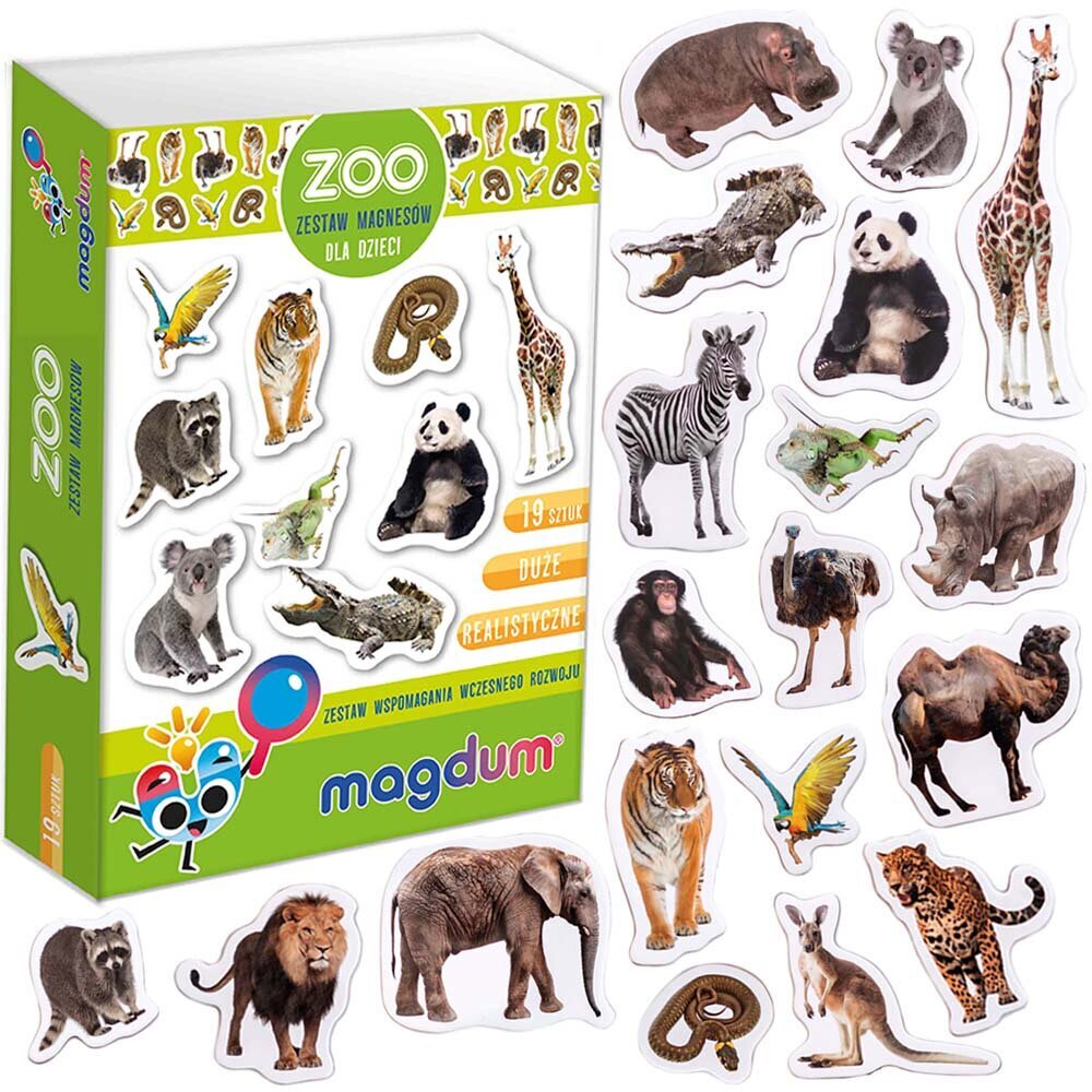 Edukacinis magnetukų rinkinys Magdum Zoo, 19 vnt. kaina ir informacija | Lavinamieji žaislai | pigu.lt