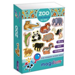 Edukacinis magnetų rinkinys Magdum Zoo, 20 vnt. kaina ir informacija | Lavinamieji žaislai | pigu.lt