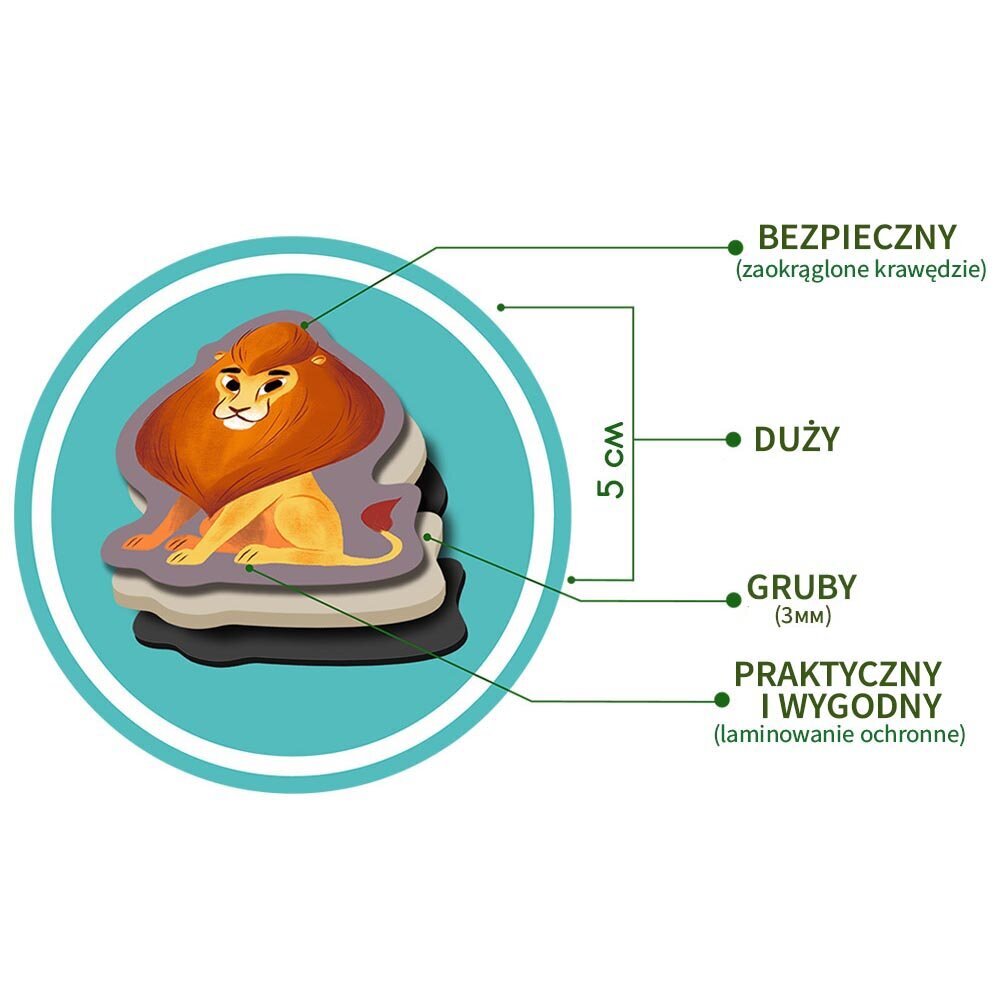 Edukacinis magnetų rinkinys Magdum Zoo, 20 vnt. kaina ir informacija | Lavinamieji žaislai | pigu.lt