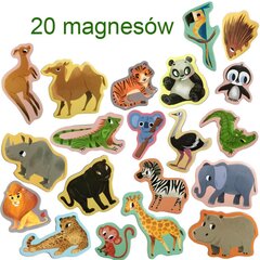 Edukacinis magnetų rinkinys Magdum Zoo, 20 vnt. kaina ir informacija | Lavinamieji žaislai | pigu.lt