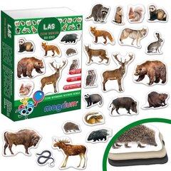 Magnetų rinkinys Forest Inhabitants MV 6032-09, 20 vnt цена и информация | Развивающие игрушки | pigu.lt