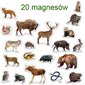 Magnetų rinkinys Forest Inhabitants MV 6032-09, 20 vnt цена и информация | Lavinamieji žaislai | pigu.lt