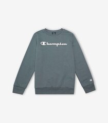 Džemperis vaikams Champion 305360*ES017 kaina ir informacija | Megztiniai, bluzonai, švarkai berniukams | pigu.lt