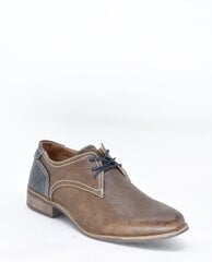 Batai vyrams Moza-X 17922610, rudi kaina ir informacija | Vyriški batai | pigu.lt