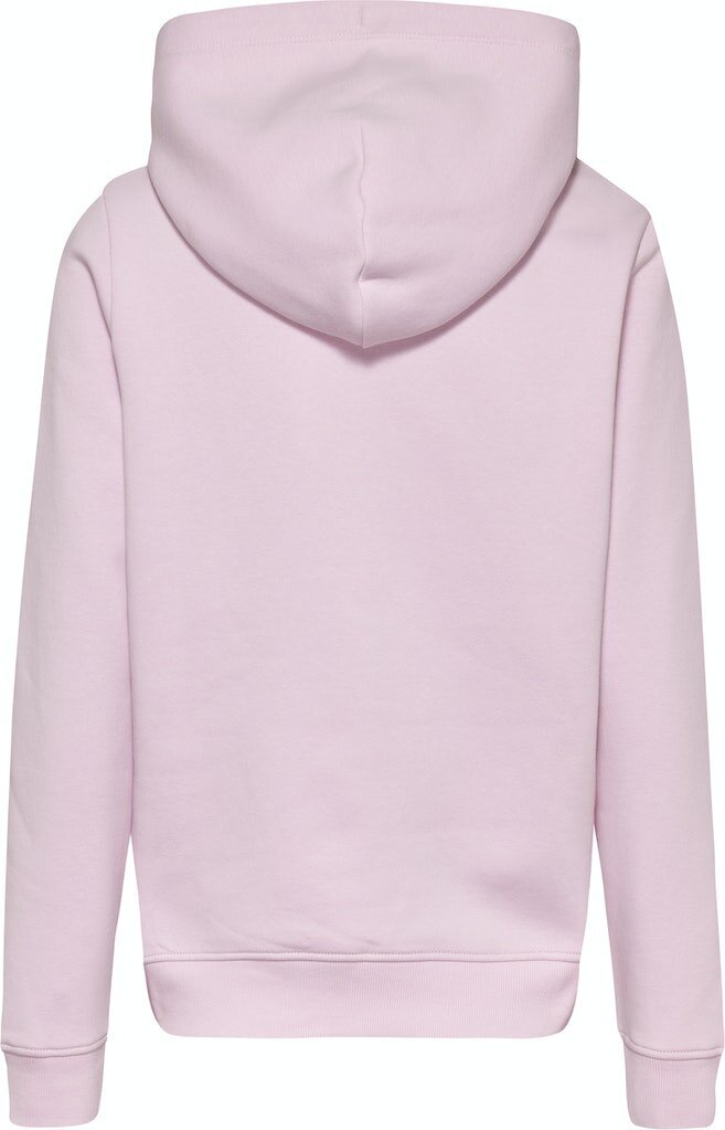Džemperis moterims 51192, rožinis kaina ir informacija | Džemperiai moterims | pigu.lt