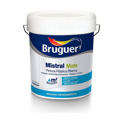 Краска Bruguer 5586672 Белый 15L цена и информация | Краска | pigu.lt