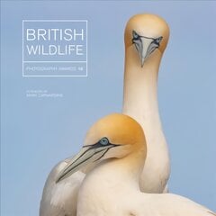 British Wildlife Photography Awards 10 kaina ir informacija | Fotografijos knygos | pigu.lt