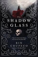 The Shadowglass: Bone Witch #3 Reprint kaina ir informacija | Knygos paaugliams ir jaunimui | pigu.lt