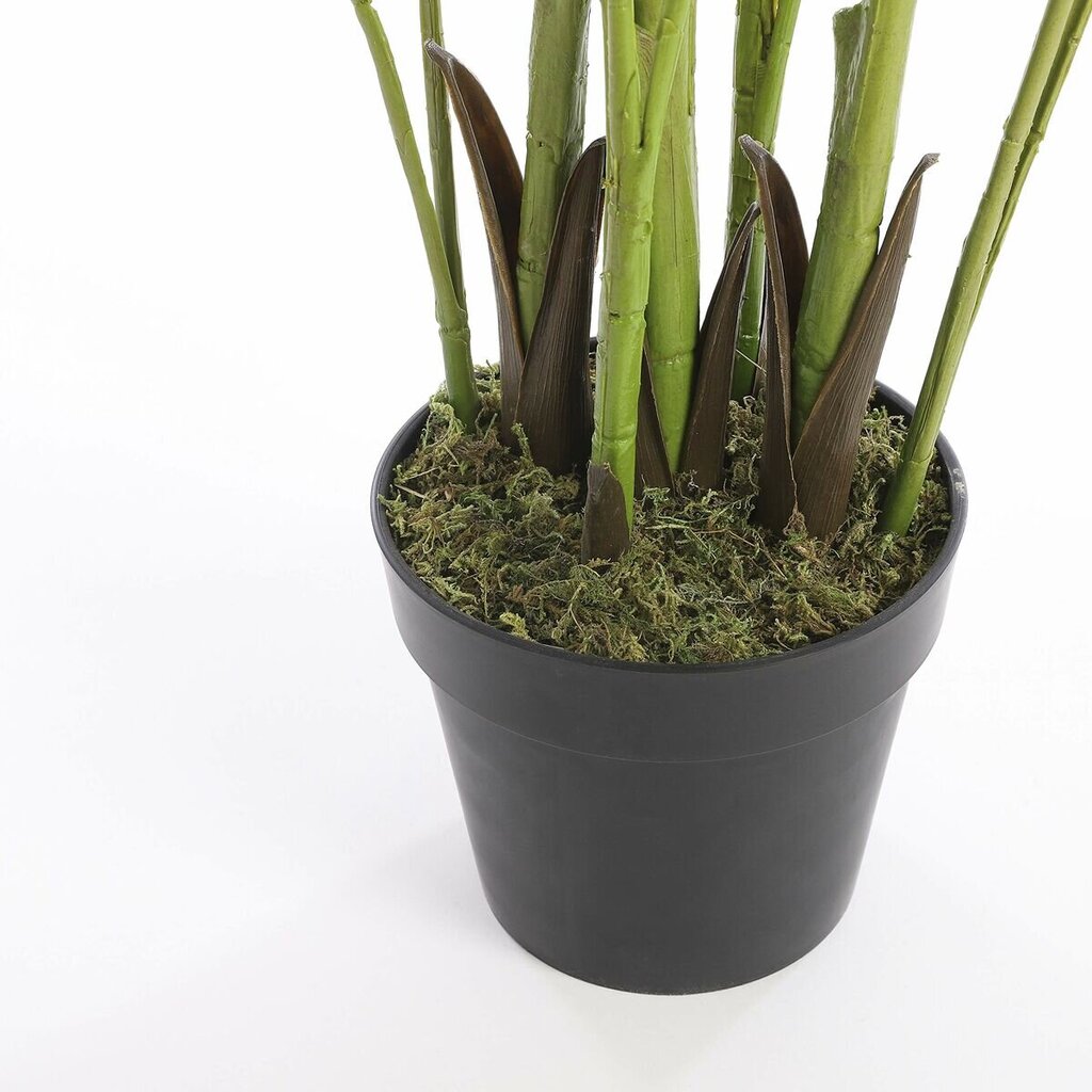 Dirbtinis augalas Palmė kaina ir informacija | Dirbtinės gėlės | pigu.lt