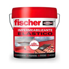 Dažai Waterproofing Fischer 547156 kaina ir informacija | Dažai | pigu.lt