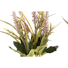 Декоративное растение DKD Home Decor PE (8.5 x 8.5 x 14 см) (3 шт.) цена и информация | Искусственные цветы | pigu.lt