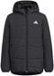 Adidas Striukė Paaugliams Jk Synthetic Jacket Black HM5178 HM5178/152 цена и информация | Striukės berniukams | pigu.lt