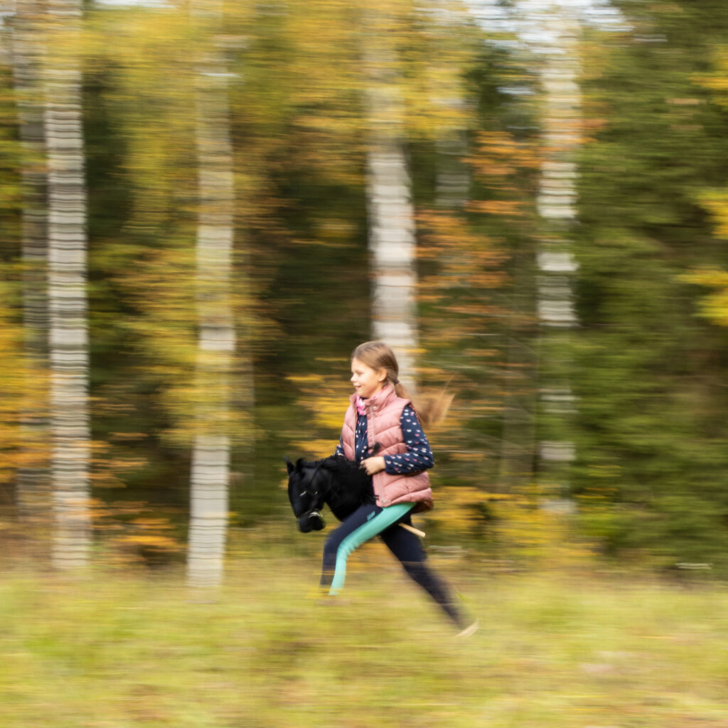 Apžergiamas arklys Hobby Horse Skippi, pilkas kaina ir informacija | Žaislai mergaitėms | pigu.lt