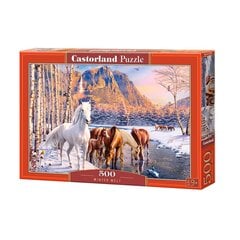 Пазл Castorland Winter Melt 500 шт. цена и информация | Пазлы | pigu.lt