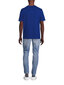 Marškinėliai vyrams Tommy Hilfiger, mėlyni цена и информация | Vyriški marškinėliai | pigu.lt