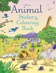 Animal Sticker and Colouring Book цена и информация | Книги для малышей | pigu.lt