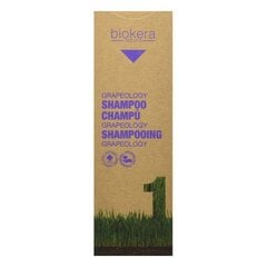 Gilaus valymo šampūnas Biokera Grapeology Salerm, 300 ml kaina ir informacija | Šampūnai | pigu.lt