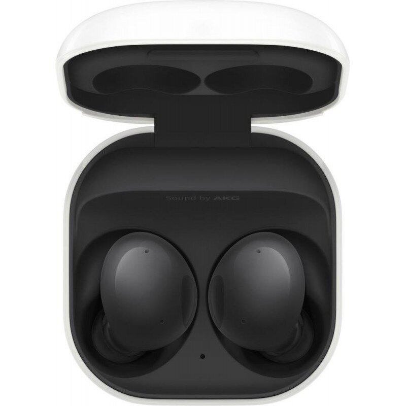 Samsung Galaxy Buds 2 R177 Grey kaina ir informacija | Ausinės | pigu.lt